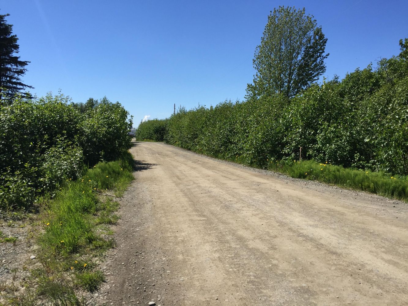 66417 Alder Ave, Ninilchik, AK 99639